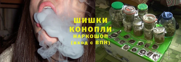 хмурый Новозыбков
