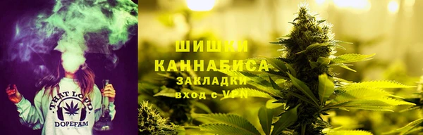 PSILOCYBIN Новодвинск