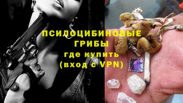 хмурый Новозыбков