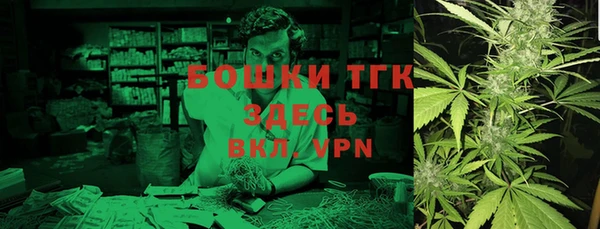 хмурый Новозыбков